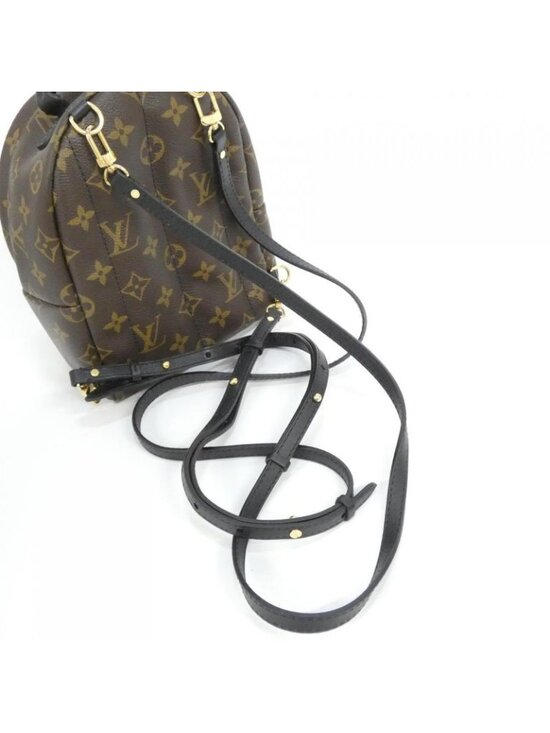 Louis Vuitton Monogram Palm Spring Backpack Mini Sac main image 6
